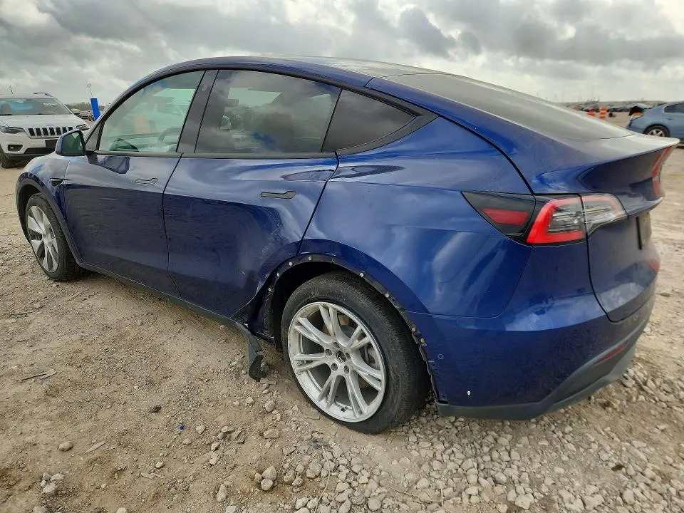 2021 TESLA MODEL Y   