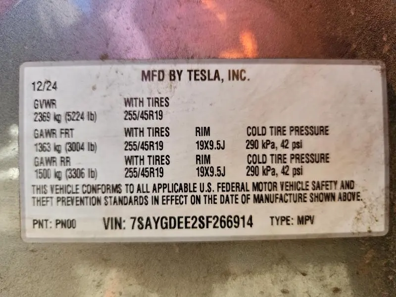 2025 TESLA MODEL Y   