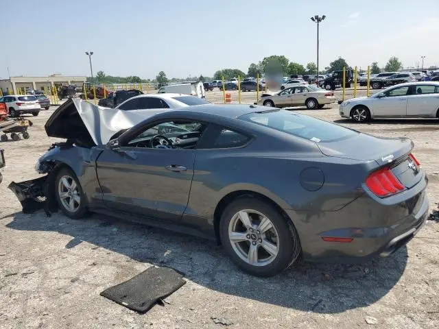 2019 FORD MUSTANG   
