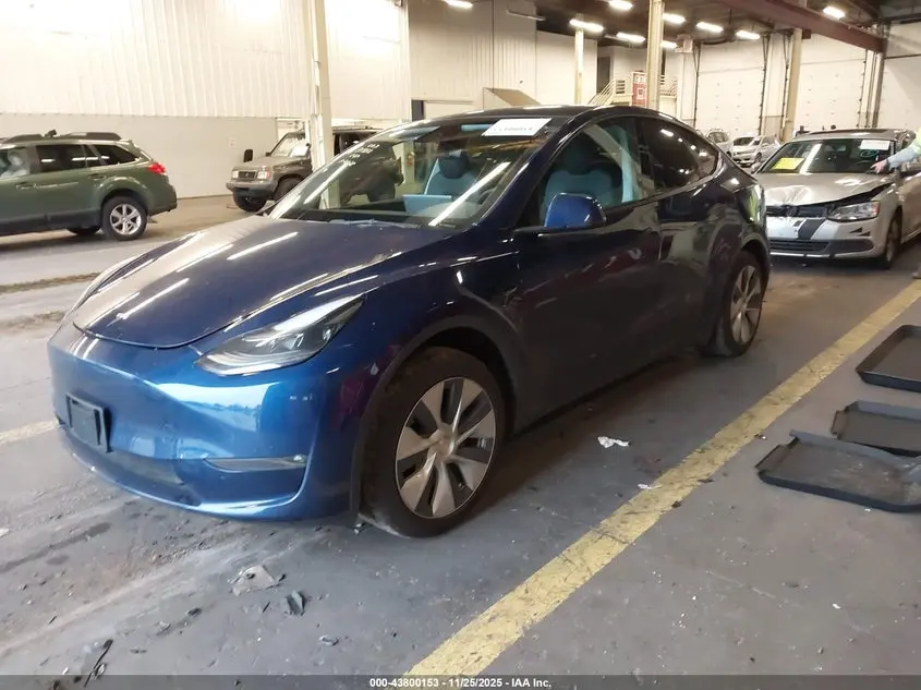 2023 TESLA MODEL Y  