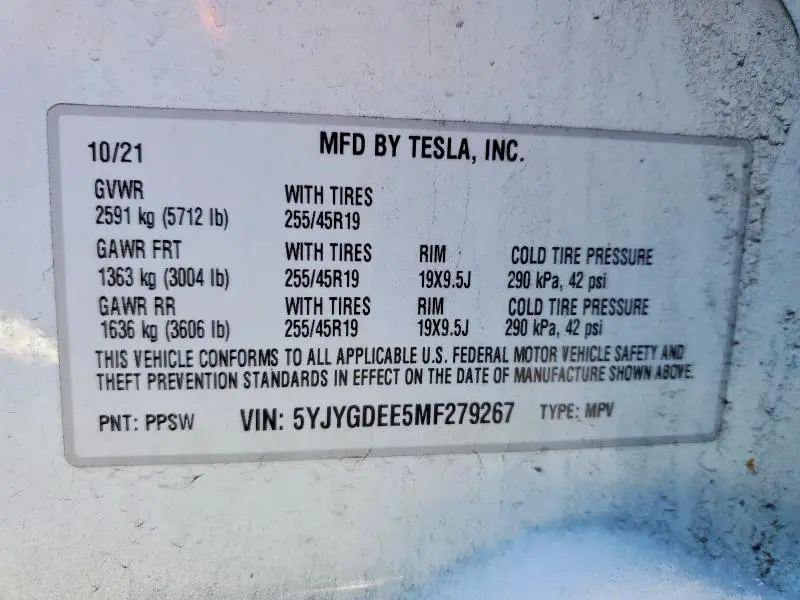2021 TESLA MODEL Y   