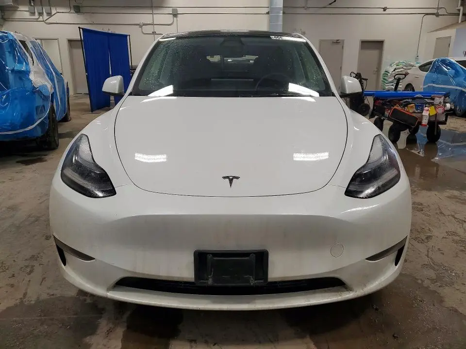 2025 TESLA MODEL Y   