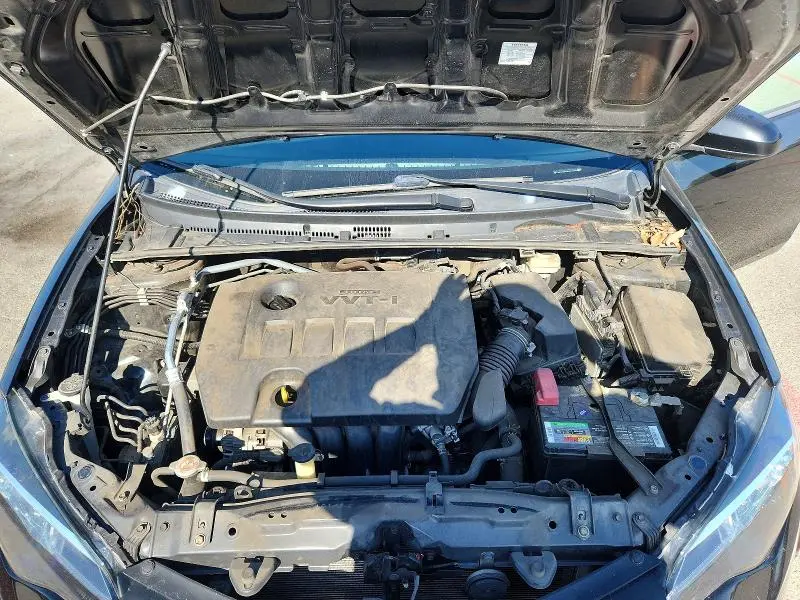 2019 TOYOTA COROLLA LE  