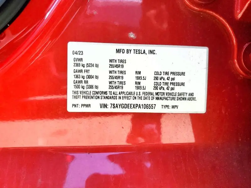 2023 TESLA MODEL Y   