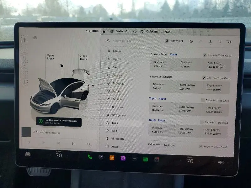 2025 TESLA MODEL 3   
