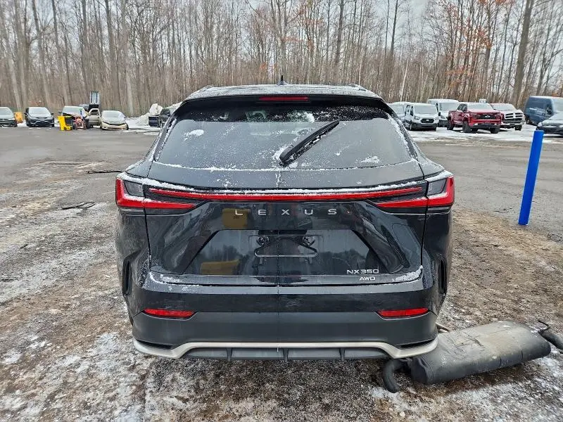 2024 LEXUS NX 350 LUXURY  