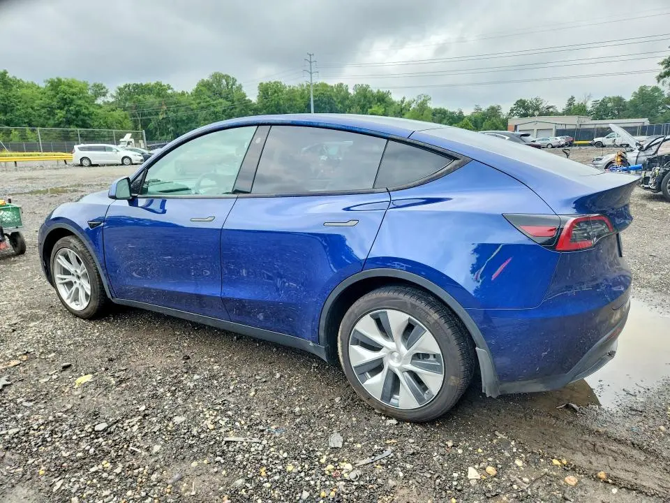 2021 TESLA MODEL Y   
