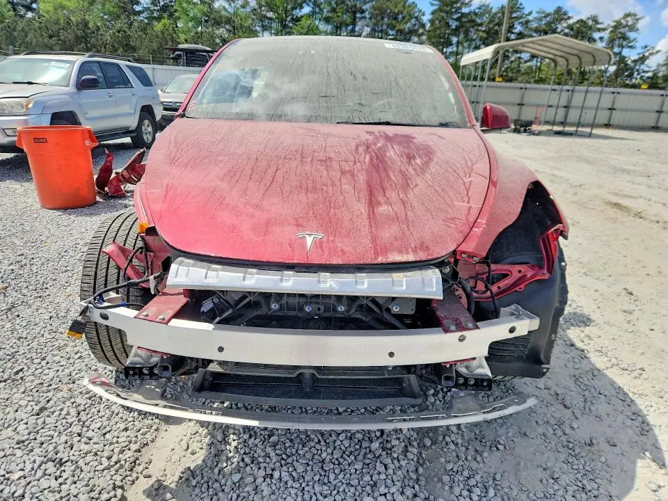 2025 TESLA MODEL Y   