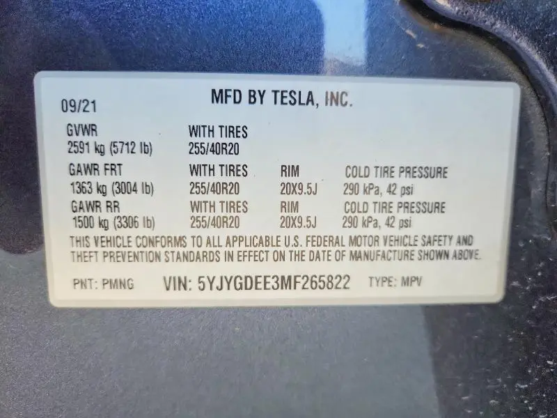 2021 TESLA MODEL Y   