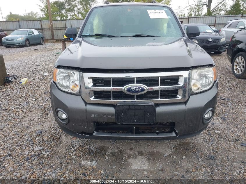 2010 FORD ESCAPE XLT