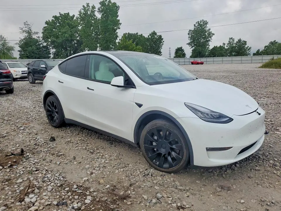 2021 TESLA MODEL Y   