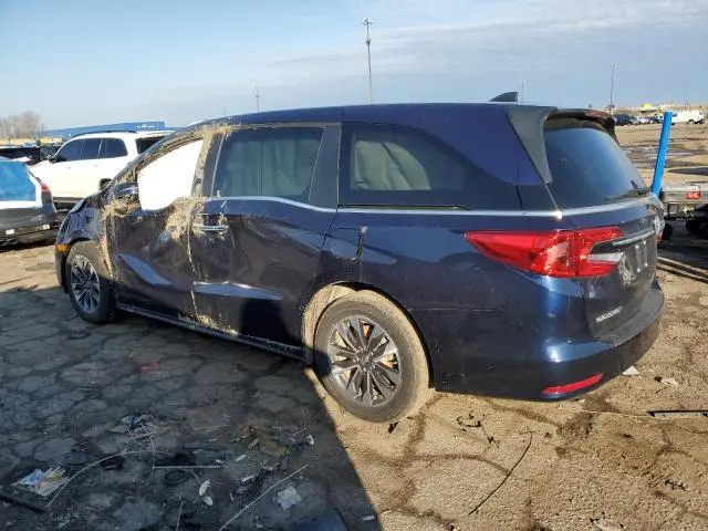 2024 HONDA ODYSSEY EXL