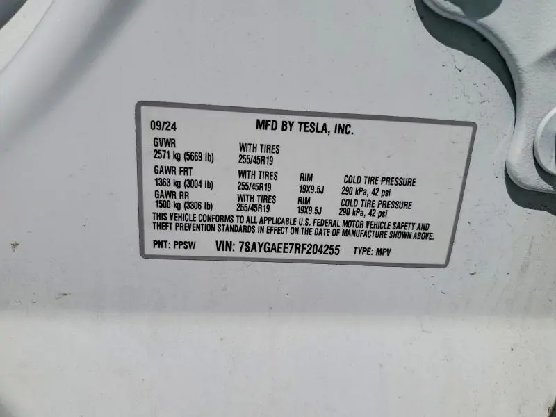 2024 TESLA MODEL Y   