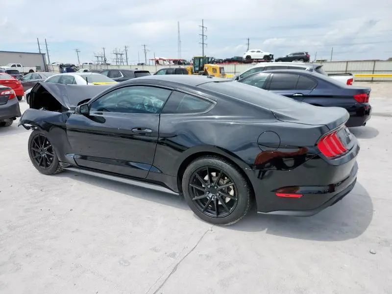 2019 FORD MUSTANG