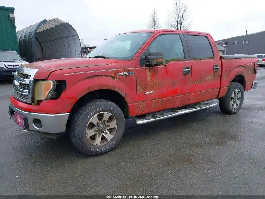 2013 FORD F-150 XLT