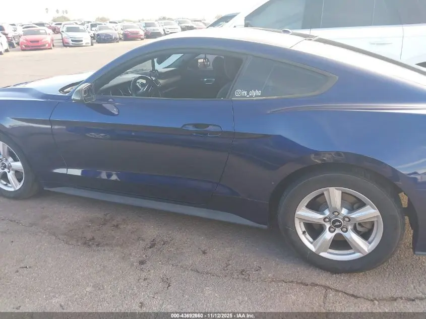 2019 FORD MUSTANG ECOBOOST