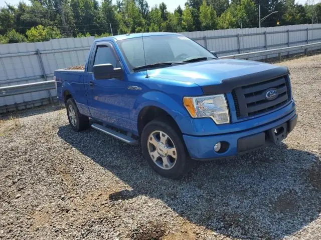 2010 FORD F150   
