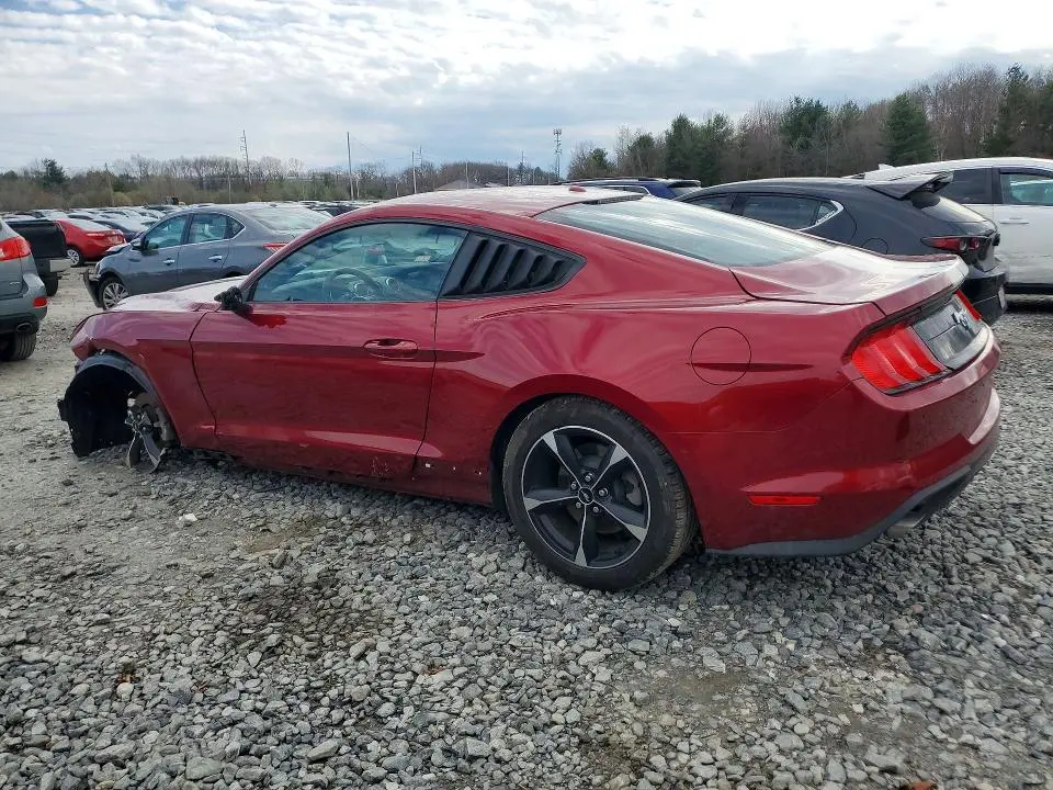 2019 FORD MUSTANG   