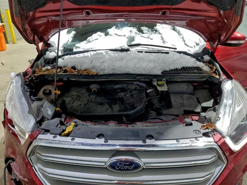 2019 FORD ESCAPE TITANIUM  