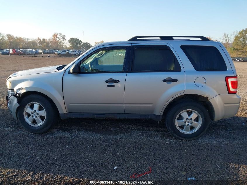 2010 FORD ESCAPE XLT