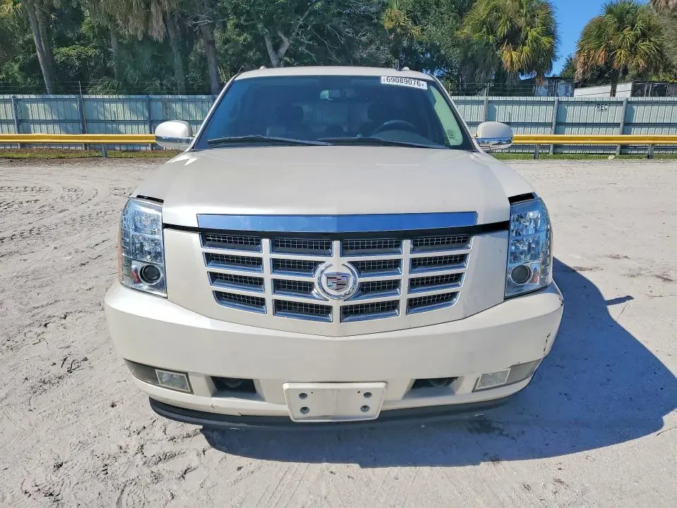 2010 CADILLAC ESCALADE LUXURY  