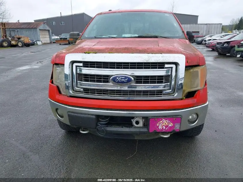 2013 FORD F-150 XLT