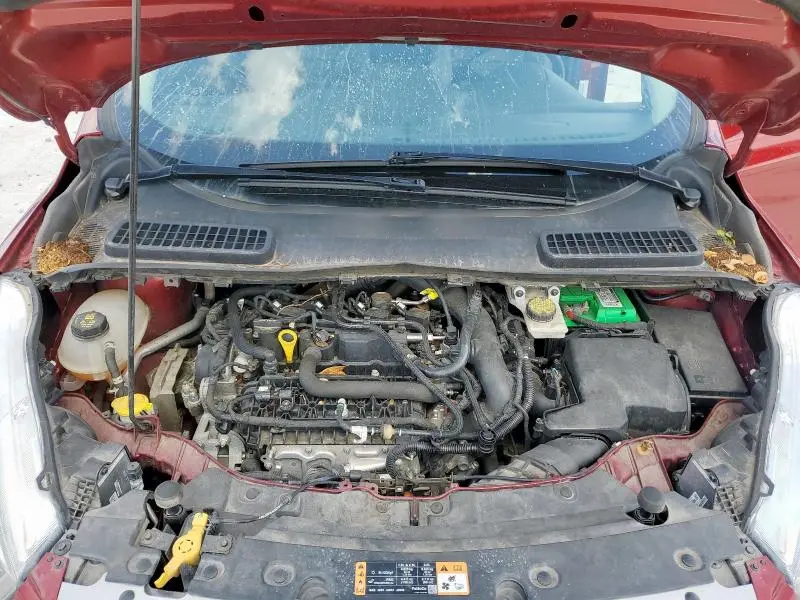 2019 FORD ESCAPE SEL  
