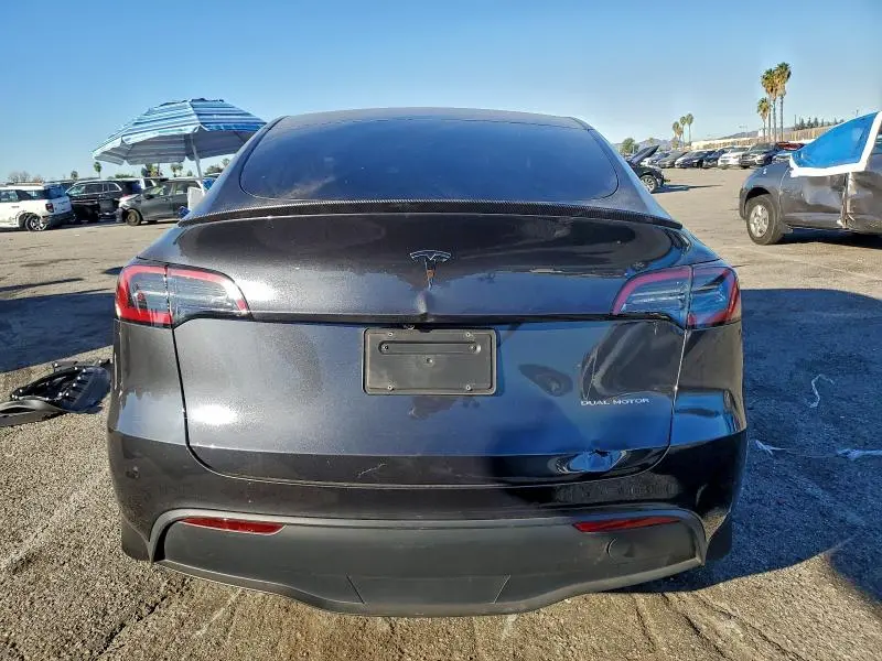 2025 TESLA MODEL Y   