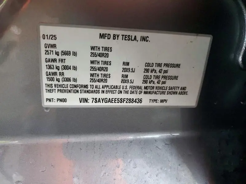 2025 TESLA MODEL Y   