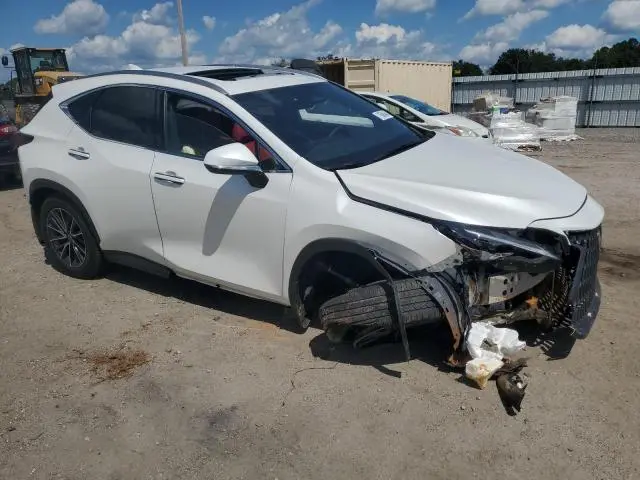 2025 LEXUS NX 250 PREMIUM  