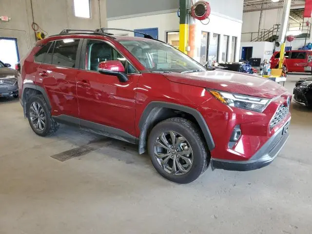 2024 TOYOTA RAV4 XLE PREMIUM  