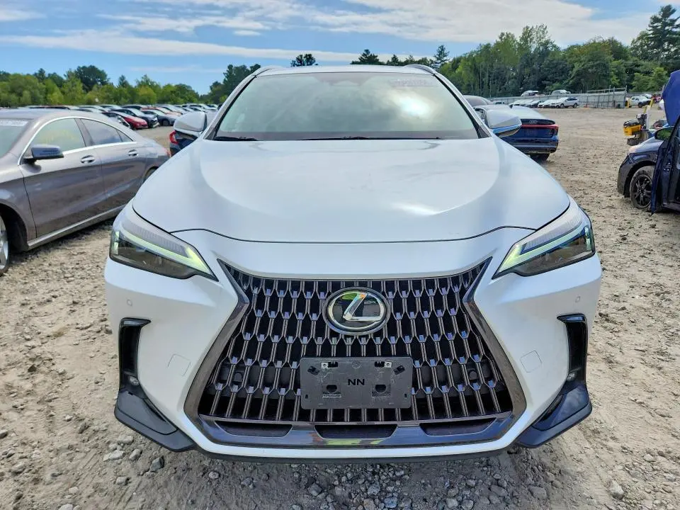 2022 LEXUS NX 350  