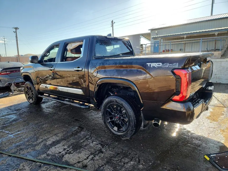 2025 TOYOTA TUNDRA 1794 EDITION  