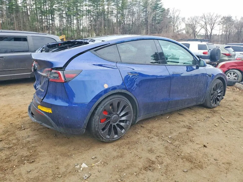 2023 TESLA MODEL Y   