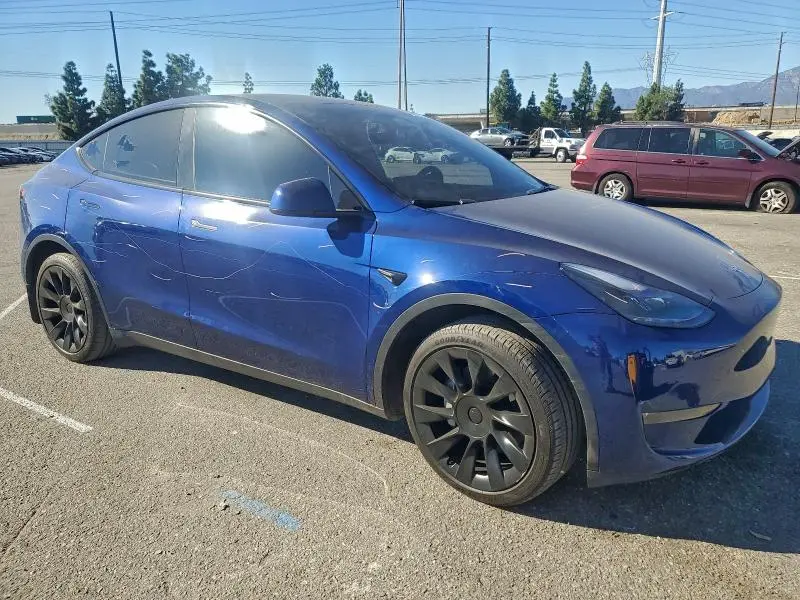 2024 TESLA MODEL Y   