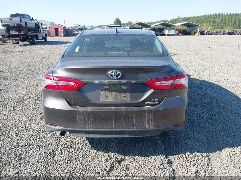 2020 TOYOTA CAMRY LE HYBRID