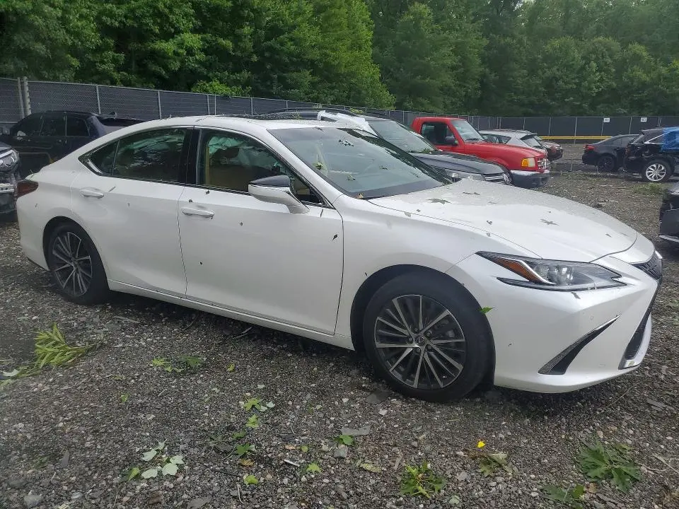 2024 LEXUS ES 350 BASE  