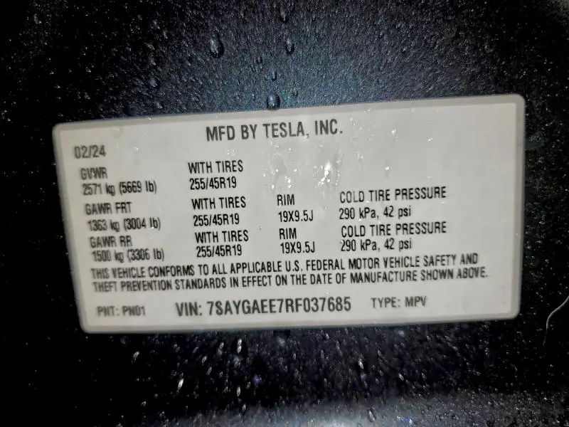 2024 TESLA MODEL Y   