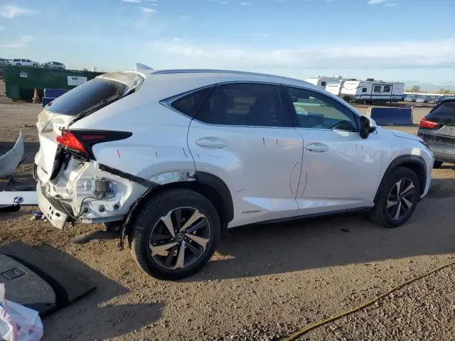 2019 LEXUS NX 300H  