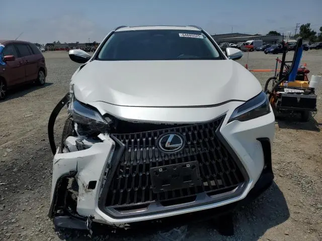 2024 LEXUS NX 250 BASE  