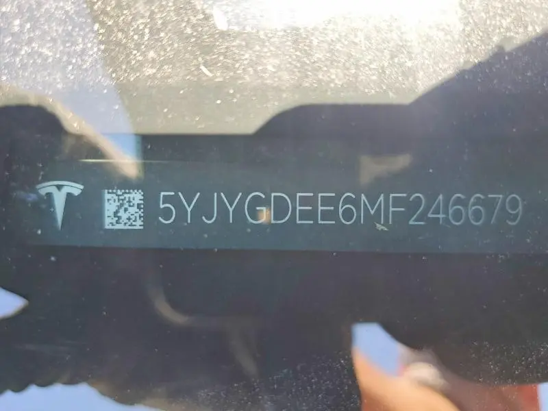 2021 TESLA MODEL Y   
