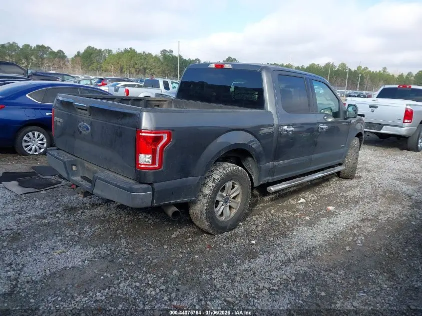 2015 FORD F-150 XLT
