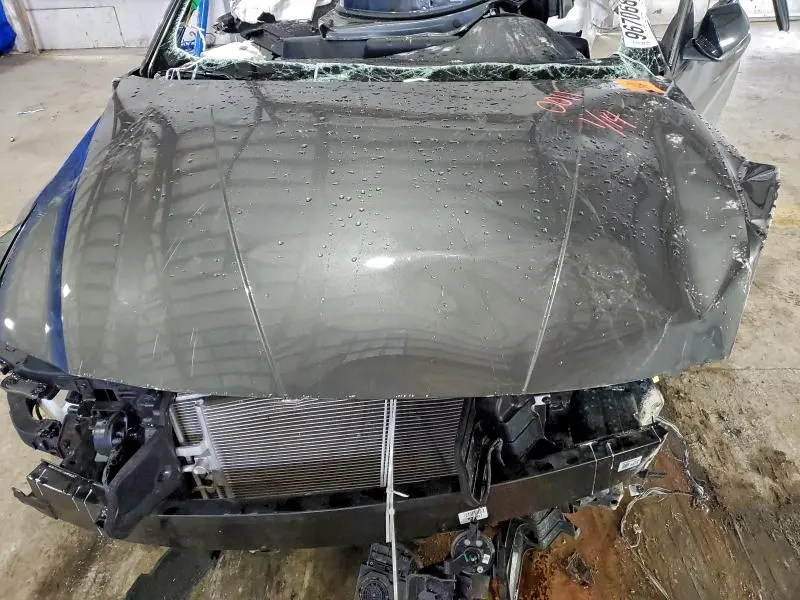 2025 HYUNDAI ELANTRA BLUE  