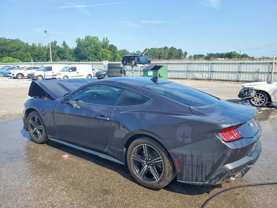 2024 FORD MUSTANG   