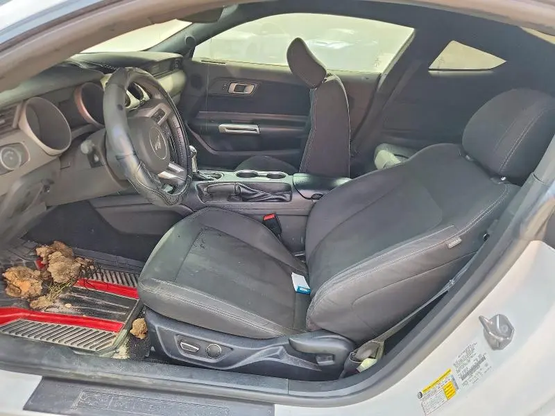 2019 FORD MUSTANG   