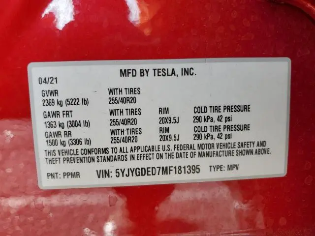 2021 TESLA MODEL Y   