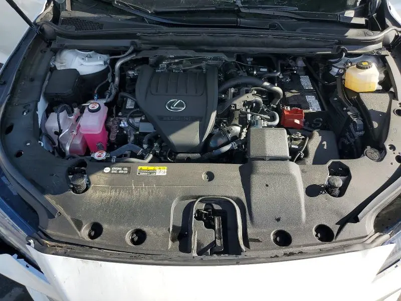 2025 LEXUS RX 350 LUXURY  
