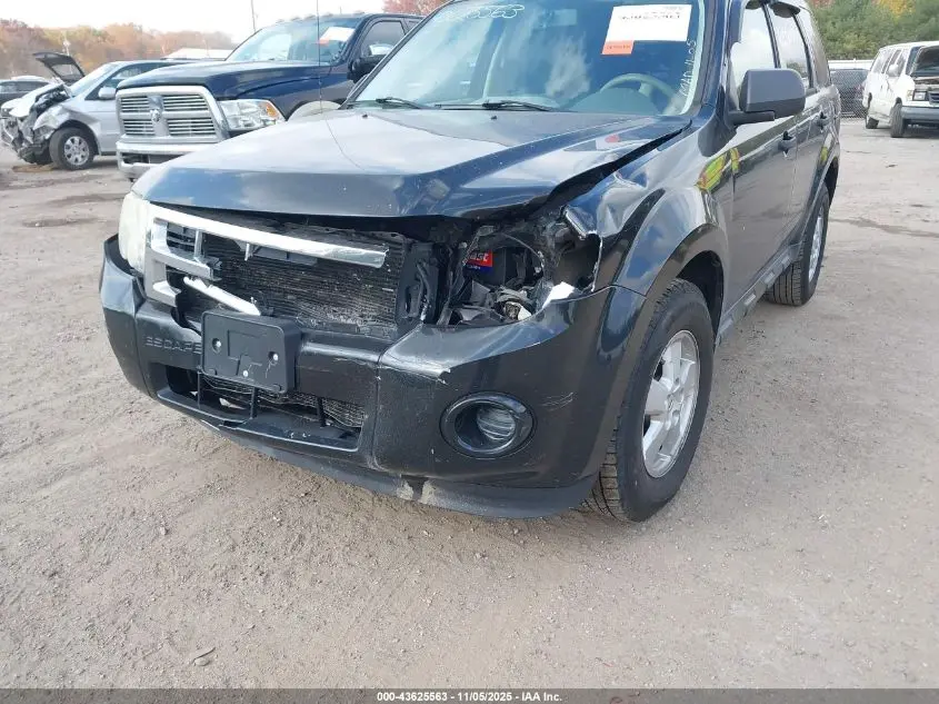 2010 FORD ESCAPE XLS