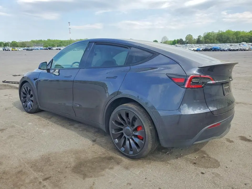 2025 TESLA MODEL Y   