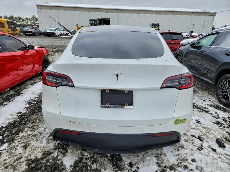 2021 TESLA MODEL Y   